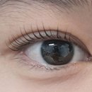 스칼프랩앤뷰티 속눈썹&눈썹&탈모 의정부점 이미지