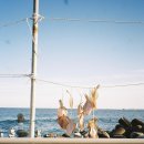 파도소리 이미지