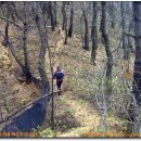 매화산목장 이미지