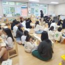 노형초등학교 이미지