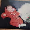 완산-91 | [육아일기] 생후 91~100일/짧은 100일의 기적/셀프 100일상/소보루한복/손 수포(리도맥스)