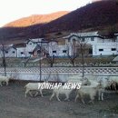 원산목장 이미지