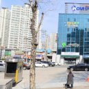 예스골프아카데미 이미지