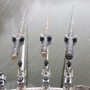 송석낚시터 이미지