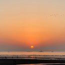 솔내음야영장 이미지