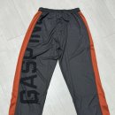 가스프(GASP) 이미지