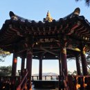 삼강식물원