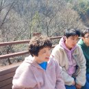 숲:토닥 이미지