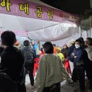 낭만고양이(운정점) | 역마살 잔뜩 전국구 일상