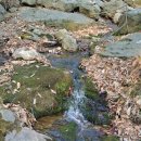 광교산한의원 이미지