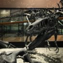 남양건기 | 쥐라기 후기: 죽음의 호수, 클리블랜드 로이드 공룡 채석장