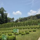 고인목장 이미지