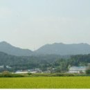 죽전1구 이미지