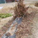 골프존파크 구례점 | 전라도 대장 순천 파크골프장 직접리뷰