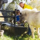 반려견,반려묘를 위한 반려동물관리사 이미지