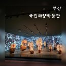 부산 국립해양박물관 수족관이 있는 실내 아이랑 가볼만한곳 기본정보와 후기