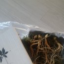 효천영농조합