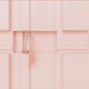 오로라핑크 이미지