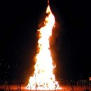 해운대구청 이미지