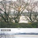 사계절 이미지