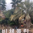 용담면 8580[48-13] | [제주도 코스] 제주도 4박5일 여행 + 제주투어패스 48시간이용권 이용 후기 (3일차)