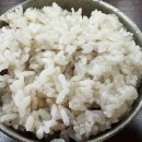 염하강정육식당