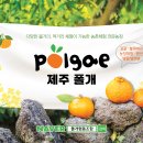 사회적협동조합제주로 이미지