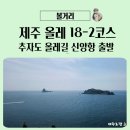 신양항 광장 | 제주 올레 18-2코스 추자도 올레길 트레킹