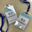 도련초등학교 이미지