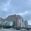 (주)라라코스트 신시계센텀시티점 | 신세계 센텀시티 아이스링크 일일입장(+라라코스트 후기) #8.19.