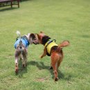 멍스퀘어 이미지