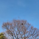 덕소초등학교 | 무박나이트120km 워크 피날레