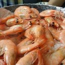 함허대사부도 이미지