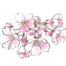 운선생 이미지