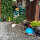 시락한바다횟집 이미지