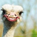 메트로짐 이미지