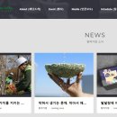 세이브트리엑스퍼트 이미지