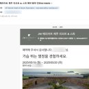 jw메리어트 제주/ 프리미엄 킹 오션뷰 + 신한 본보이 메리어트 카드 포인트숙박 꿀팁, 무료숙박권 사용...