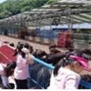 느릅재농장 이미지