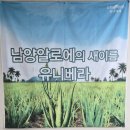 장속농장 | 대전 유니베라 중구 유천동 유니베라 스타대리점-흑삼기력 프리미엄 효능과 구매후기