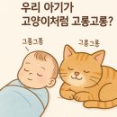 고롱고롱 이미지