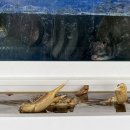양씨네횟집