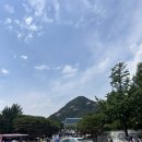 &lt;서울/서촌&gt; 드디어 가본 핫플 ! 누구나 한번 쯤 가보고 싶은, [청와대] 자유관람 후기