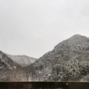 해원장횟집 이미지