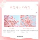 ITQ 정보기술자격 엑셀 이미지