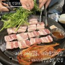 한라신협실내 | 미나리삼겹살 제주시찐맛집 ‘아라동삼대장’