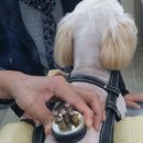 손수의과병원 이미지