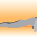 ＜요추5단계＞ ﻿﻿﻿Top 5 Benefits of doing Planks 이미지