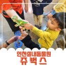 초원사랑어린이집 | 인천실내동물원 인천키즈카페 쥬벅스 위생적으로 관리 잘 되는 곳
