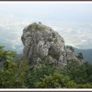 삼봉주유소 이미지